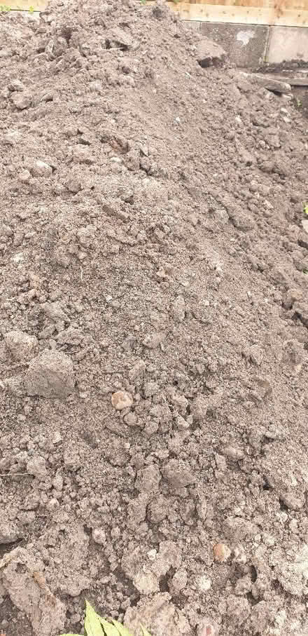 Photo of free Soil (Springfield B11) #1
