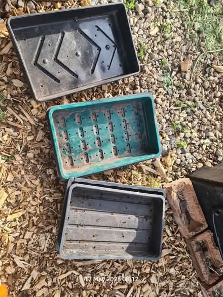 Photo of free Seed Trays (Elborough BS24) #1