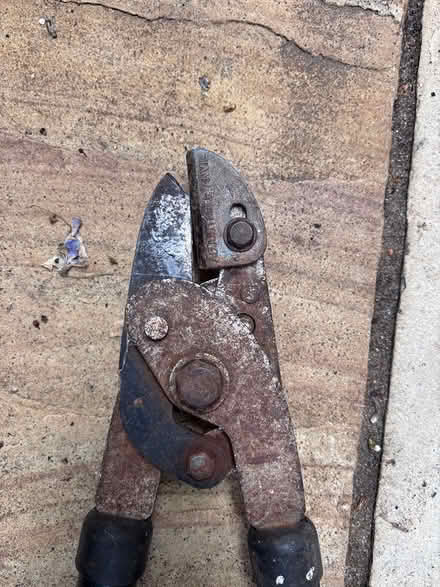 Photo of free Garden cutters / loppers (Sheen SW14) #2