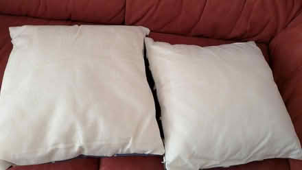 Photo of free Pair of Cushions (RG24 Old Basing) #2