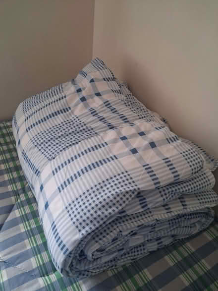 Photo of free 2 Single duvets (Rhayader LD6) #2