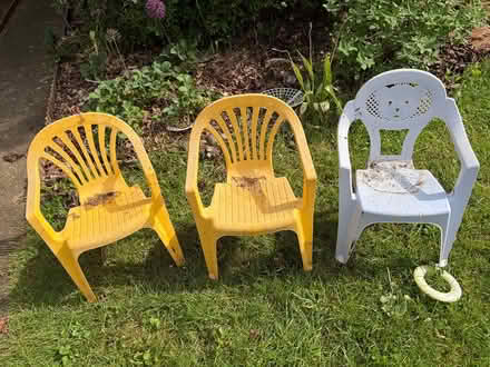 Photo of free Plastic toddler chairs x3 (SG4 hitchin) #1
