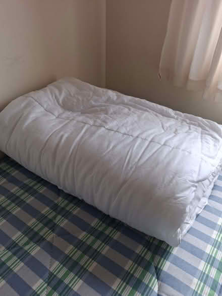Photo of free 2 Single duvets (Rhayader LD6) #1