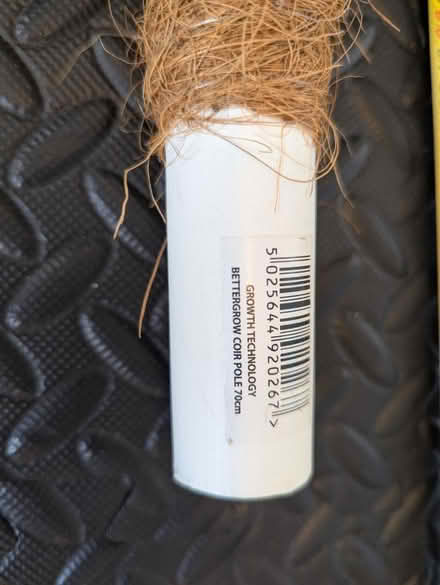 Photo of free Coir plant pole 70cm (Teddington TW11) #2
