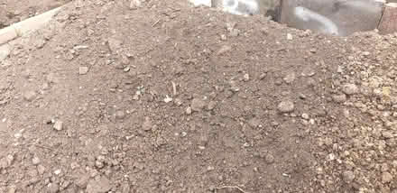 Photo of free Soil (Springfield B11) #3