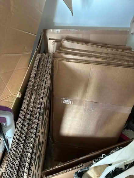 Photo of free Cardboard boxes for packing, moving (SE18) #1