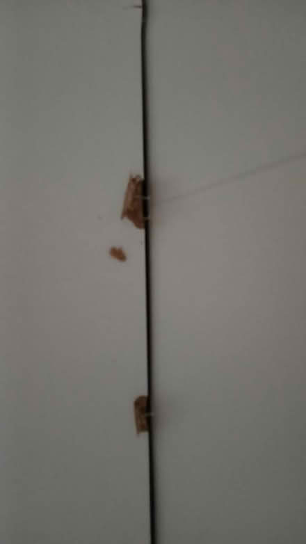 Photo of free White Wardrobe (Probably MDF) (Harts Corner Glasnevin) #4