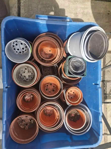 Photo of free Plastic grow pots for plants (Strood) #2