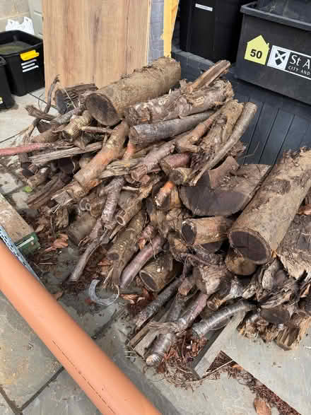 Photo of free Logs (Digswell AL6) #1