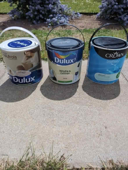 Photo of free Silk paints (Calcot RG31) #1