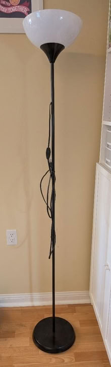 Photo of free Floor lamps (Eglinton-Lawrence) #2