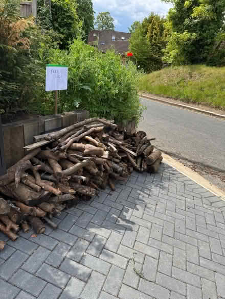 Photo of free Logs (Digswell AL6) #1