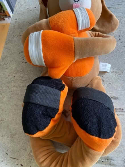 Photo of free Doggy Stretchimal Toy (Spring Park CR0) #2