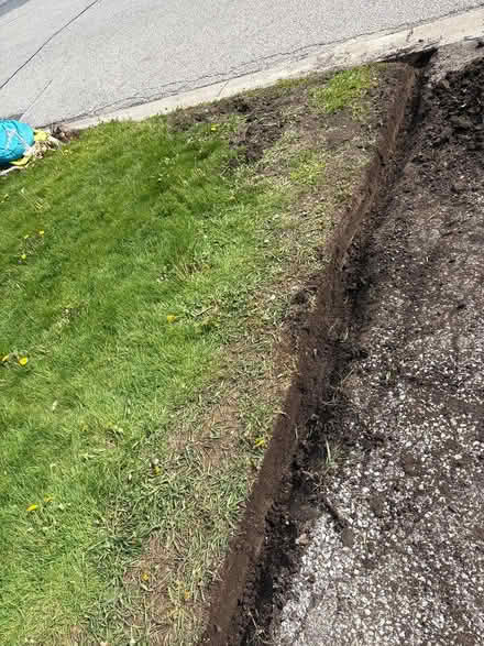 Photo of free Soil from grass (L5L 5P5) #1