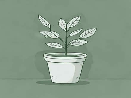 Photo of Outdoor plant pots (Harborough LE7) #1