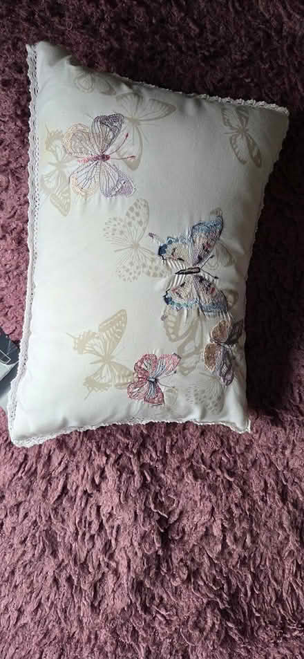 Photo of free Various things (Penilee G52) #4