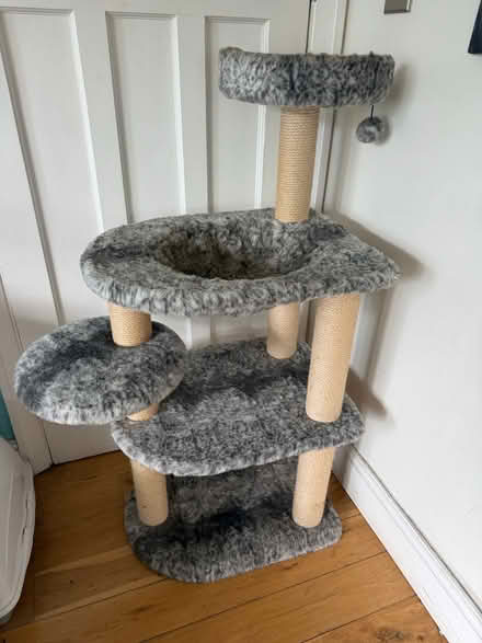 Photo of free Cat tower (Muswell Hill N10) #1