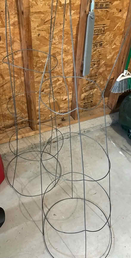 Photo of free Tomato Cage (2) (Oakville) #1