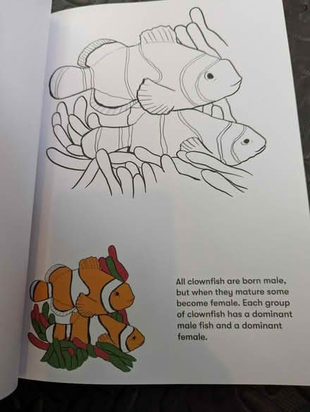 Photo of free Colouring book - Nature - New (Teddington TW11) #4