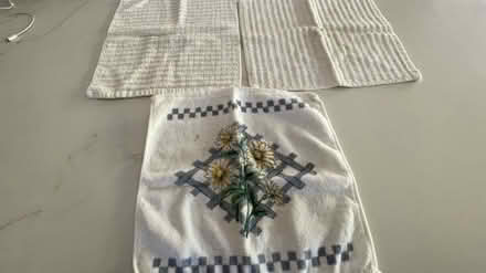 Photo of free Kitchen towel, cloths (Fremont & 85) #2