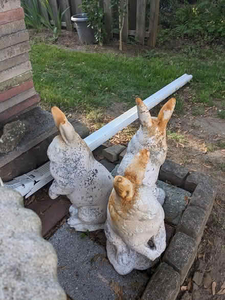 Photo of free Bunny Statue (Belford, N.J.) #3