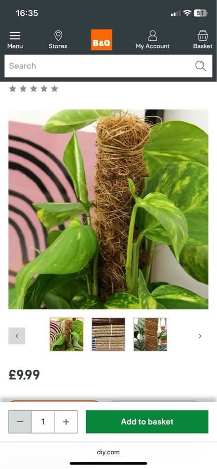 Photo of free House plant climber (Alsager ST7) #3