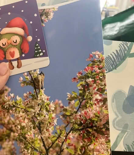 Photo of free Card stock, trays+containers~Crafts (Chelsea) #3