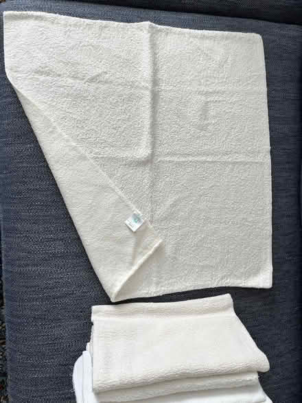 Photo of free Bamboo terry nappy squares (Craigmount EH12) #3