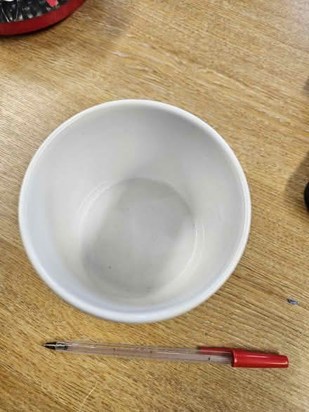 Photo of free Plant Pot (Earley RG6) #2