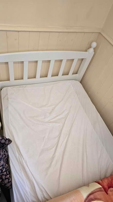 Photo of free Single bed with frame (Worcester , WR4) #1