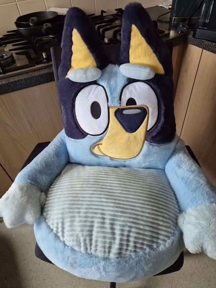 Photo of free child Soft Seat 18+ months (Old Town SG1) #1
