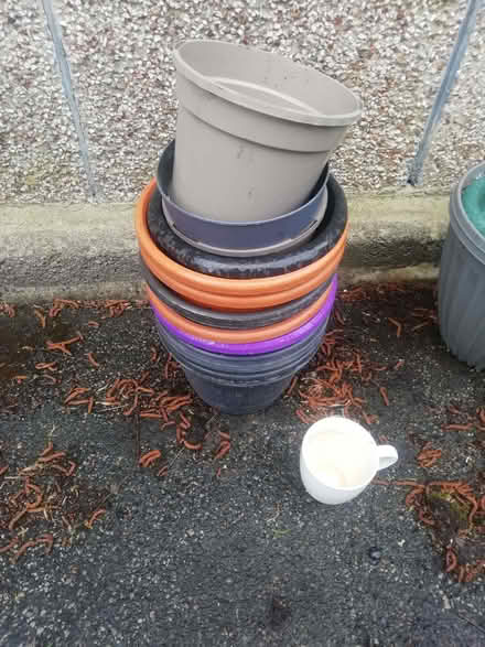 Photo of free Used Plastic Plant Pots And Troughs (Bierley BD4) #2