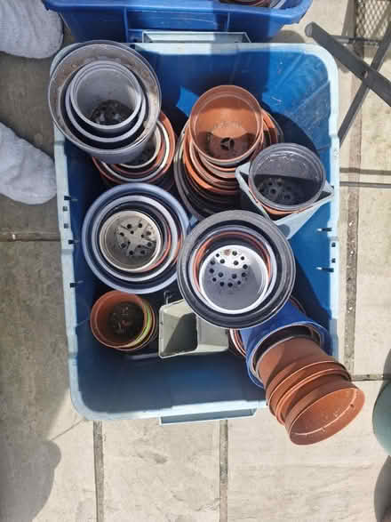 Photo of free Plastic grow pots for plants (Strood) #1