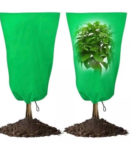 Photo of free Plant covers with gloves + Spray bottle (Penrith CA11) #3