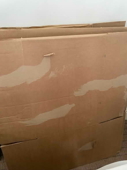 Photo of free 8 moving boxes (E11) #1