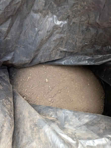 Photo of free Top soil E9 (Victoria Park E9) #2