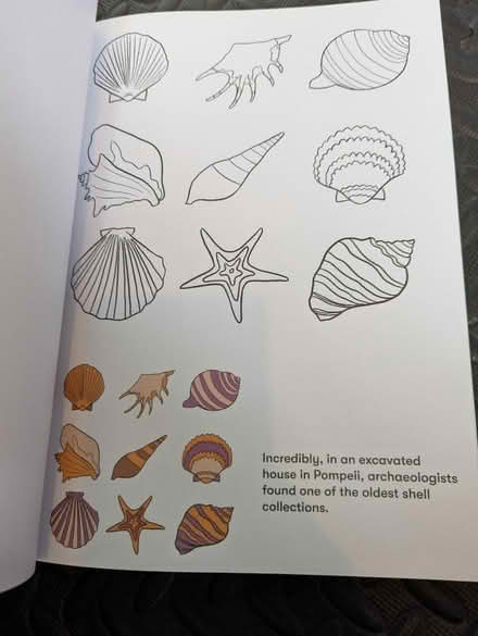 Photo of free Colouring book - Nature - New (Teddington TW11) #3