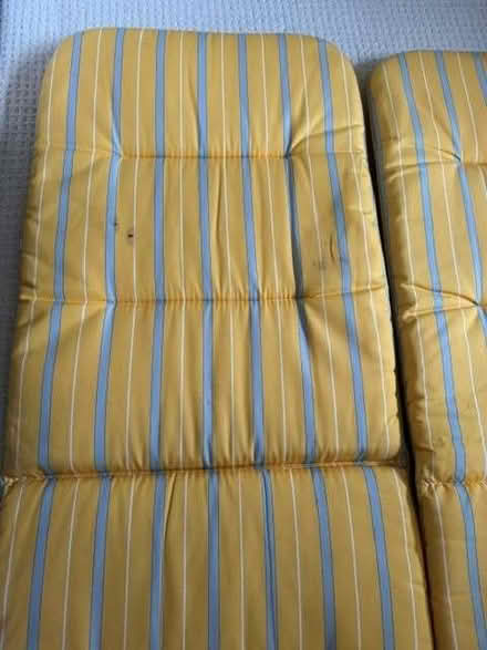 Photo of free Outdoor chair cushions (Balcombe RH17) #3