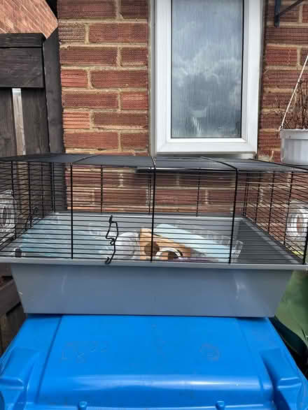 Photo of free Hamster cage (Ipswich IP2) #1