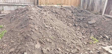 Photo of free Soil (Springfield B11) #2