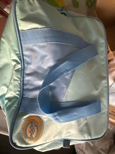 Photo of free Blue plastic picnic set and cool bag (Ashford TW15) #2