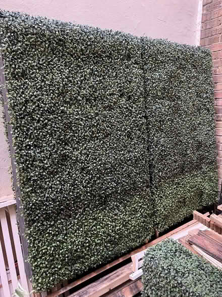 Photo of free Green artificial bush (SE1 2DF) #2