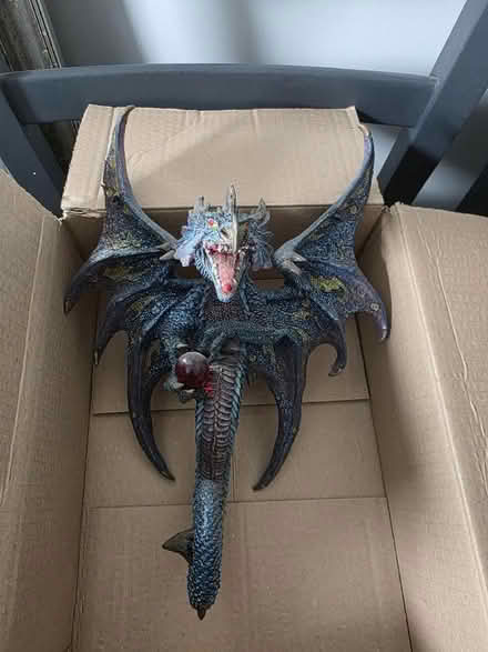 Photo of free Dragon (Ramsgate CT11) #2