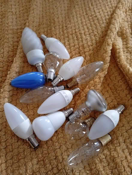 Photo of free Light bulbs (Buxworth SK23) #1