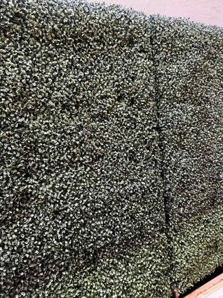 Photo of free Green artificial bush (SE1 2DF) #3