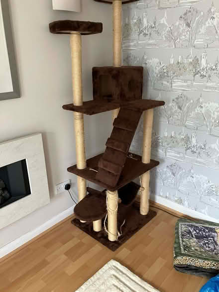 Photo of free Cat tree (Oaken Grove Park SL6) #1