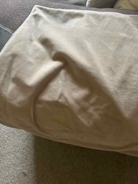 Photo of free Throw Pillow case (Near Main Street Laurel Md) #1