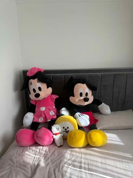 Photo of free Teddys (UB6) #1