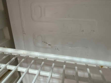 Photo of free Fridge (Brookwood) #2