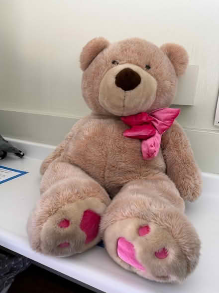Photo of free Very large soft plush teddy bear (1075 Valencia Avenue) #1